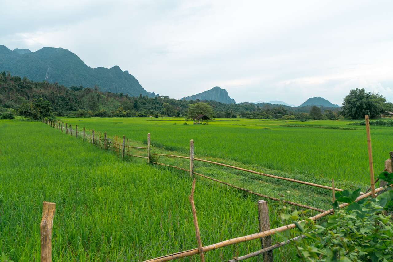 Begin your cultural exploration with Vang Vieng’s tranquil ambiance